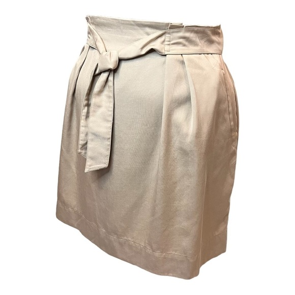 Coord Set: H&M High Waisted Skirt & Banana Republic Tank (Wardrobe Essential) - Picture 4 of 15